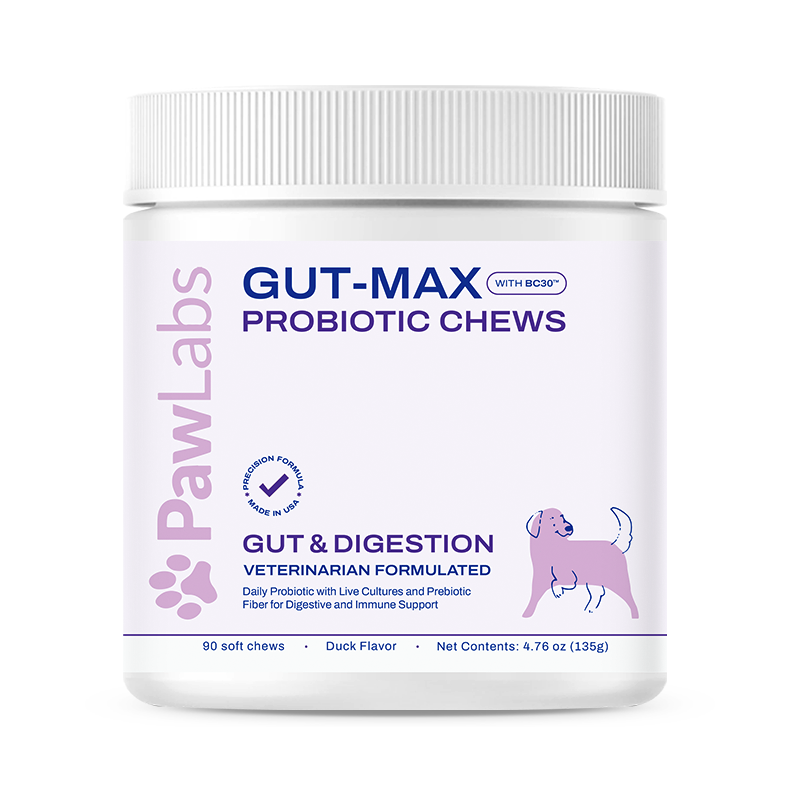 5 Reasons Why Probiotic Chews for Dogs Are a Game-Changer for Gut