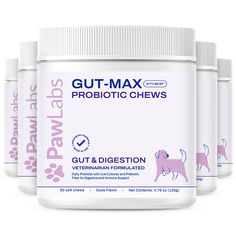 probiotic max for dogs