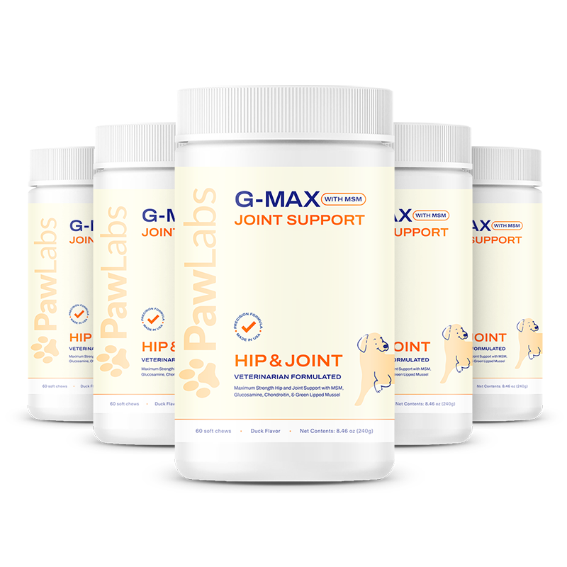 PawLabs Official Site G Max Joint Support Buy 2 Get 1 Free