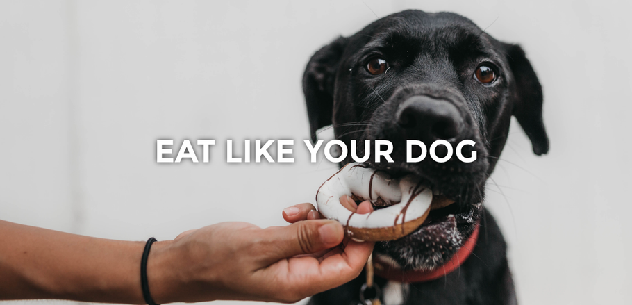 Eat like your Dog