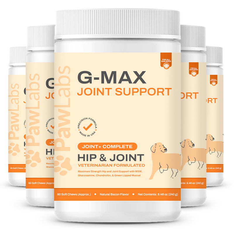 G-Max Hip & Joint - Bacon Flavor