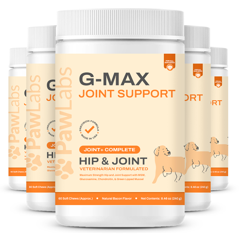 G-Max Joint Support Hip & Joint