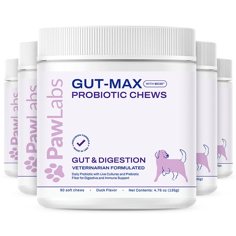 Gut-Max Probiotic Chews
