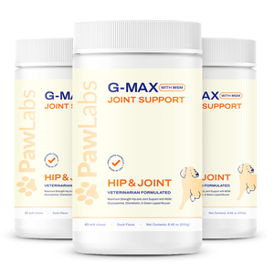 G-Max Joint Support Hip & Joint with MSM