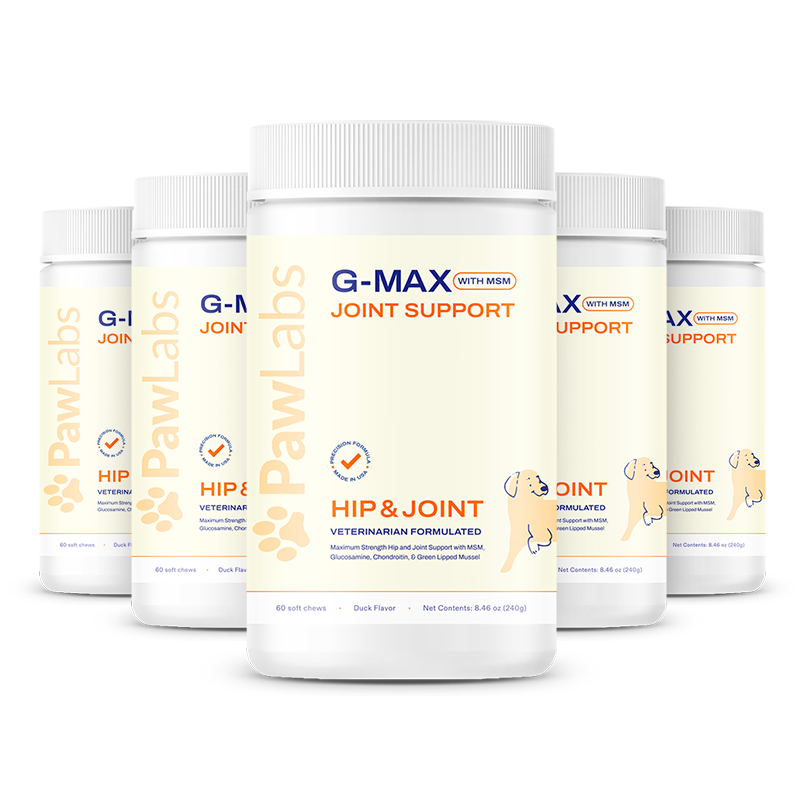 Not For Sale - G-Max Joint Support Hip & Joint with MSM