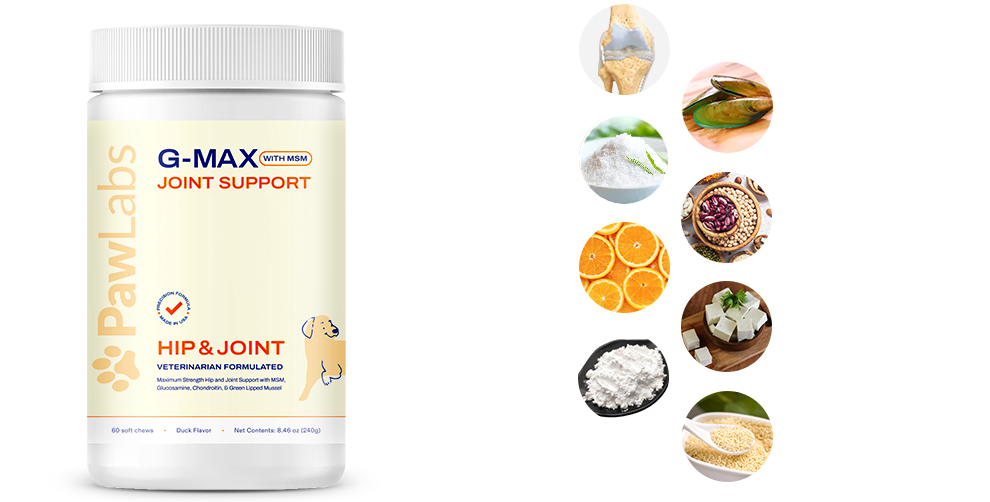G max hot sale joint supplement